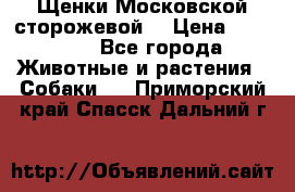 Щенки Московской сторожевой  › Цена ­ 25 000 - Все города Животные и растения » Собаки   . Приморский край,Спасск-Дальний г.